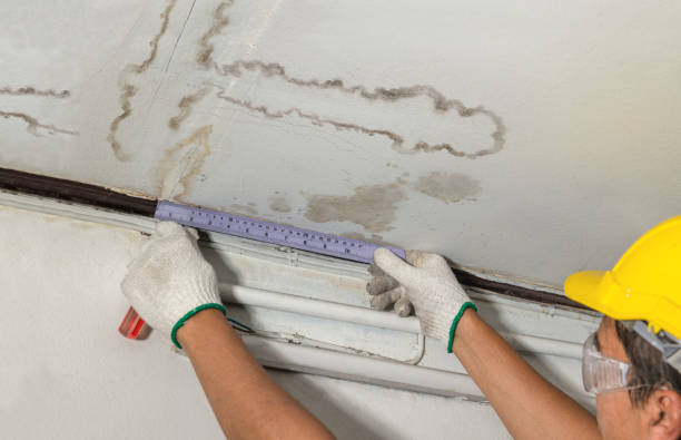 Reliable Emergency Water Damage Restoration contractor in South Wilmington, IL by Water Damage Irwin